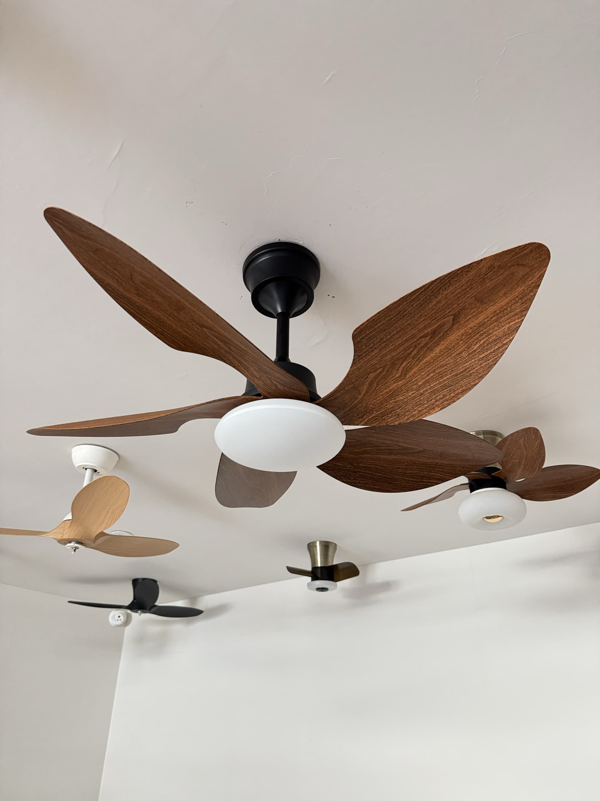 media_image0