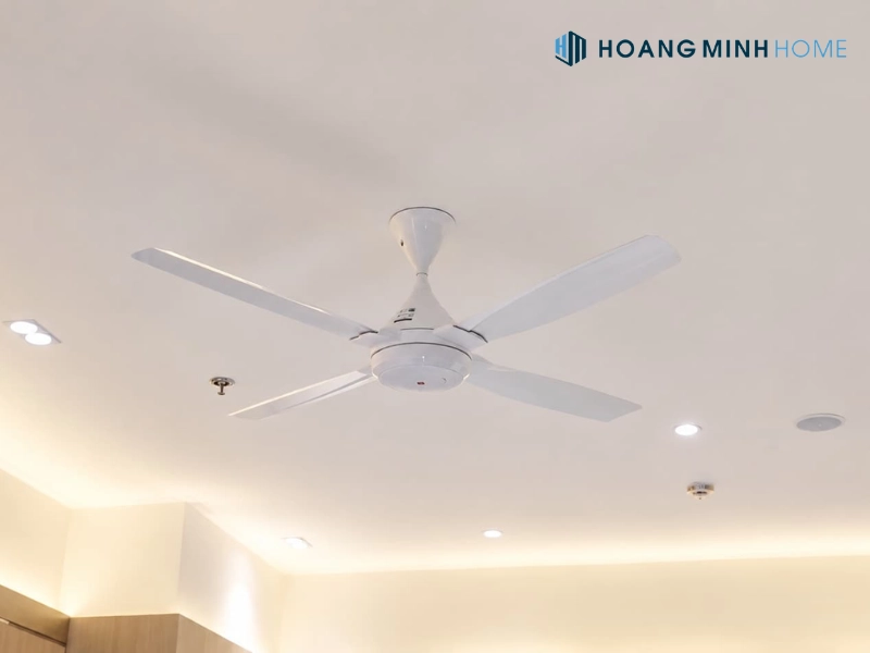 Sản phẩm quạt trần khuyến mãi, giá tốt tại Hoàng Minh Home
