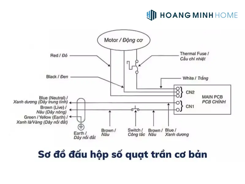 hop-so-quat-tran-asia