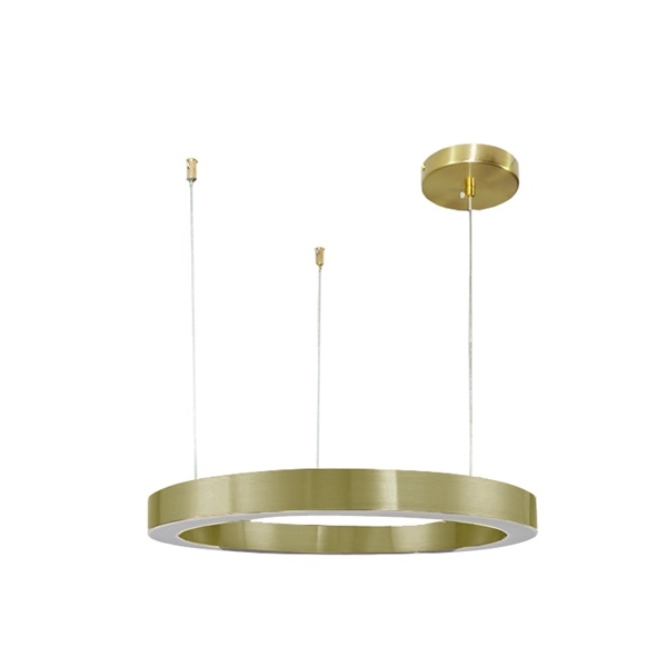 Đèn thả đơn 1 vòng tròn bằng inox THD7039